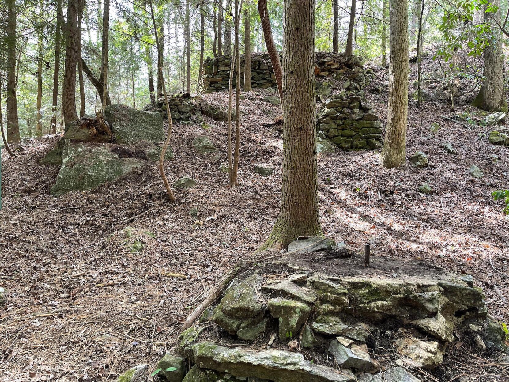 Trails 1